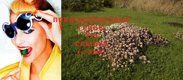 соль курить ск Костерёво