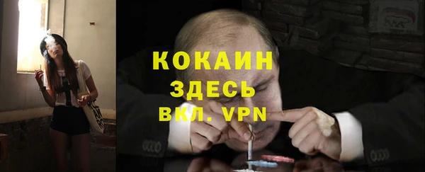 МДПВ Краснослободск