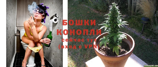 шишки Коряжма