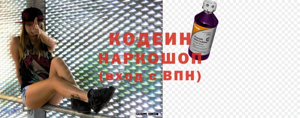 шишки Коряжма