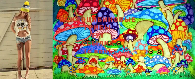 Галлюциногенные грибы MAGIC MUSHROOMS  Льгов 